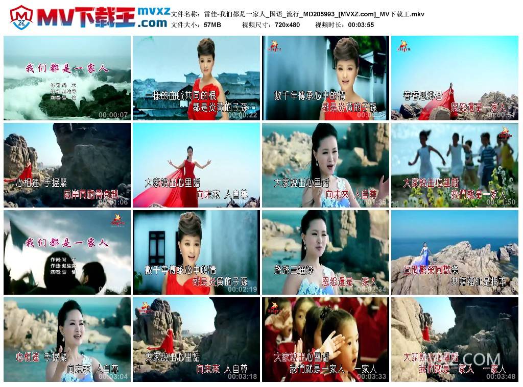 雷佳-我们都是一家人_国语_流行_MD205993